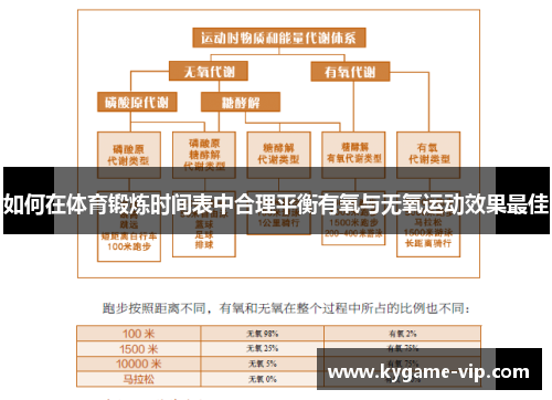 如何在体育锻炼时间表中合理平衡有氧与无氧运动效果最佳